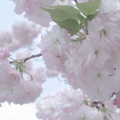 Furry插画细节提升兽圈社群